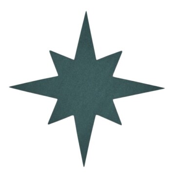 Northern Star Foam Floral Frame