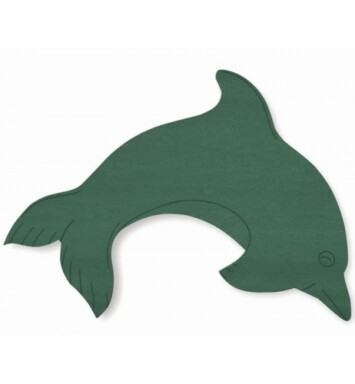 Dolphin Foam Floral Frame