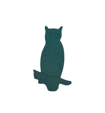 Owl Foam Floral Frame