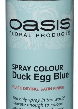 400ml Florist Spray Paint - Duck Egg Blue