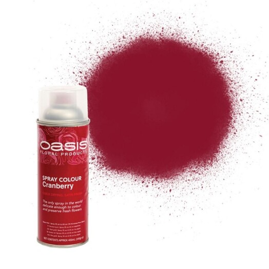 400ml Florist Spray Paint - Cranberry