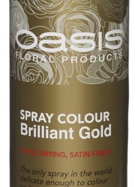400ml Florist Spray Paint - Brilliant Gold