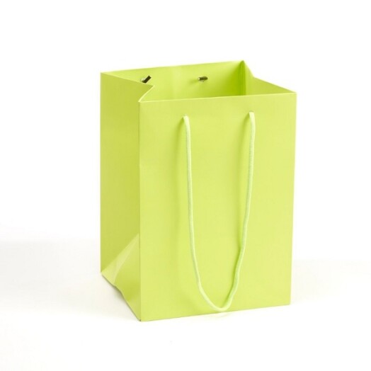 Hand Tied Porto Bag 10pk Sage Green