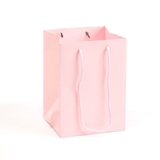 Hand Tied Porto Bag 10pk Pale Pink