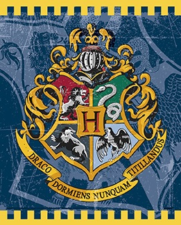 Harry Potter Loot Bags