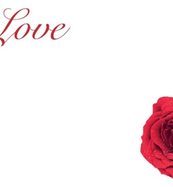Florist Small Cards - All My Love, Red Rose