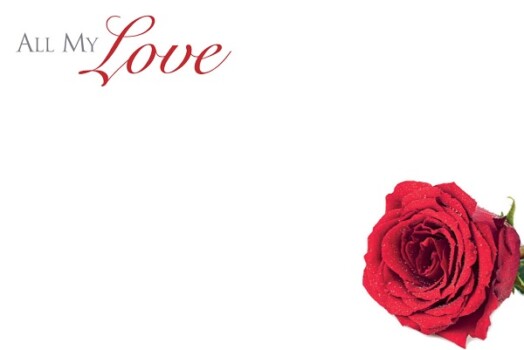 Florist Small Cards - All My Love, Red Rose