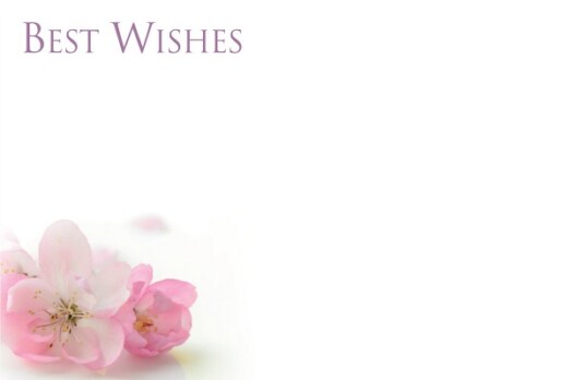 Florist Small Cards - Best Wishes