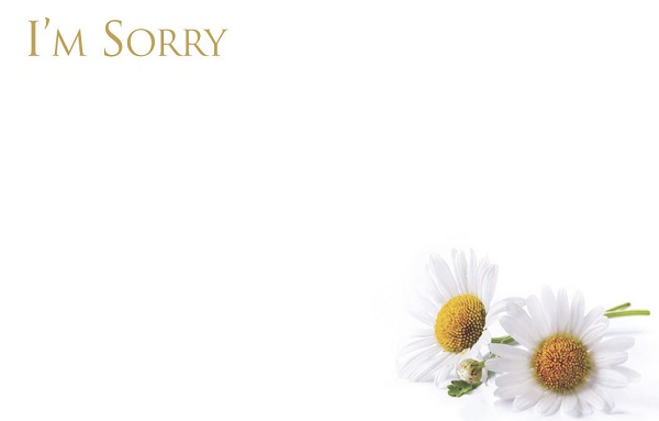 Florist Small Cards - I'm Sorry, White Daisies