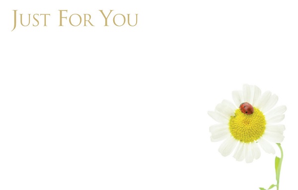 Florist Small Cards - Just For You, Daisy with Ladybird