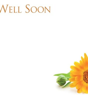 Florist Small Cards - Get Well Soon