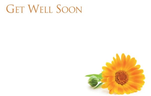Florist Small Cards - Get Well Soon