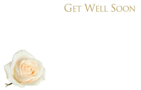 Florist Small Cards - Get Well Soon, Rose