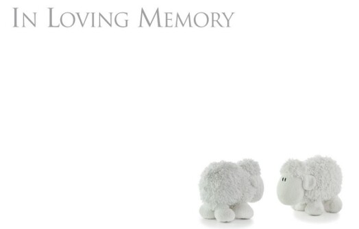 Florist Small Cards - In Loving Memory, White Sheep