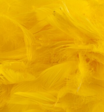 Eleganza Feathers - Yellow