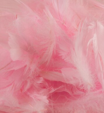 Eleganza Feathers - Pink