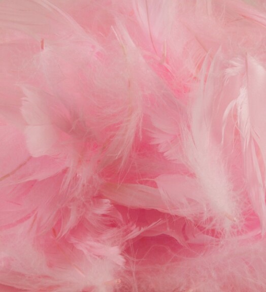 Eleganza Feathers - Pink
