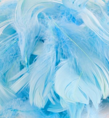 Eleganza Feathers - Light Blue