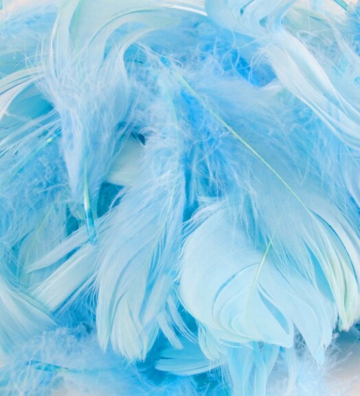 Eleganza Feathers - Light Blue