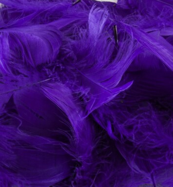 Eleganza Feathers - Purple