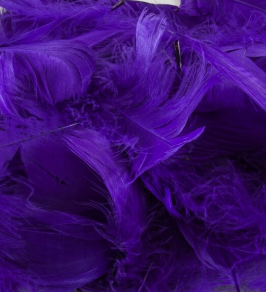 Eleganza Feathers - Purple