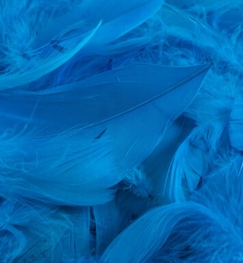 Eleganza Feathers - Turquoise