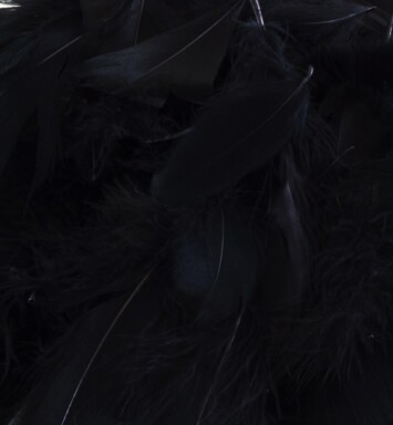 Eleganza Feathers - Black