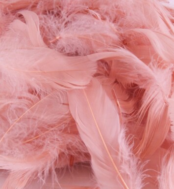 Eleganza Feathers - Rose Gold