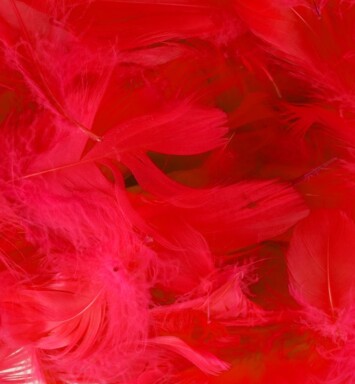 Eleganza Feathers - Red