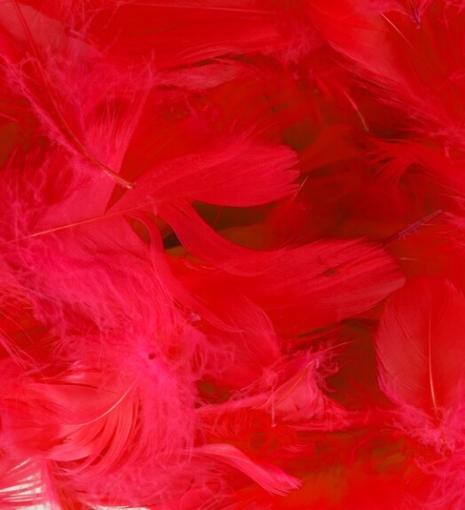 Eleganza Feathers - Red