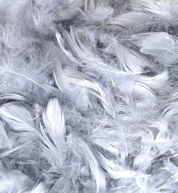 Eleganza Feathers - Silver