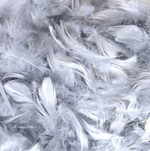 Eleganza Feathers - Silver