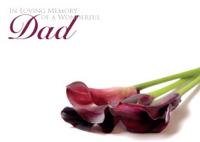 Florist Large Cards - In Loving Memory of a Wonderful Dad, Red Cali Lillie's