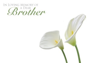 Florist Large Cards - In Loving Memory of a Dear Brother, Cali Lillie's