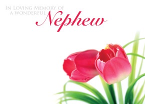 Florist Large Cards - In Loving Memory of a Dear Nephew