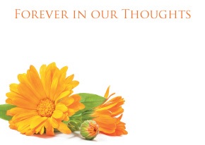 Florist Large Cards - Forever in Our Thoughts, Orange
