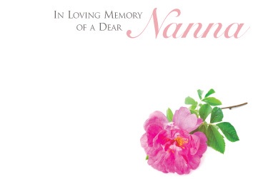 Florist Large Cards - In Loving Memory of a Dear Nanna, Pink