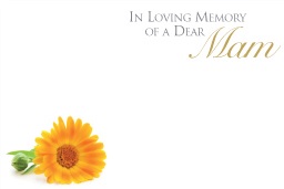 Florist Small Cards - In Loving Memory Dear Mam