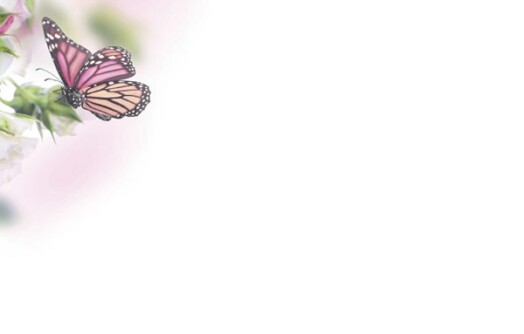 Florist Small Cards - Blank, Butterfly