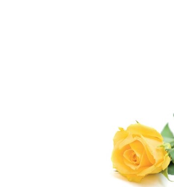 Florist Small Cards - Blank, Yellow Rose