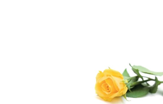 Florist Small Cards - Blank, Yellow Rose