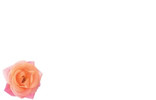 Florist Small Cards - Blank, Rose