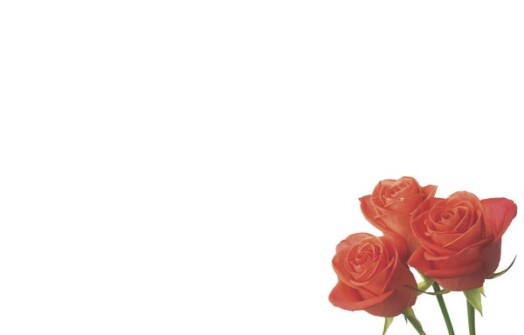 Florist Small Cards - Blank, Roses