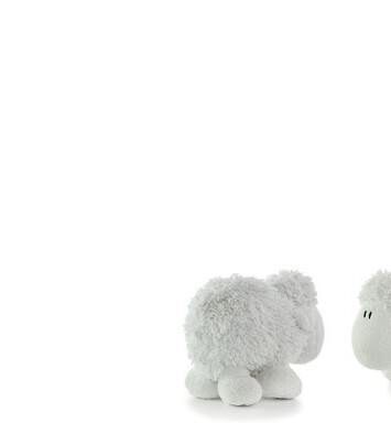 Florist Small Cards - Blank, White Sheep