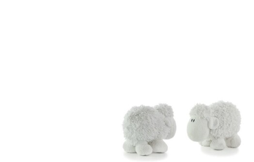 Florist Small Cards - Blank, White Sheep