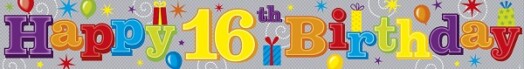 9ft Banner 16th Birthday
