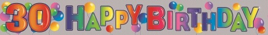9ft Banner 30th Birthday