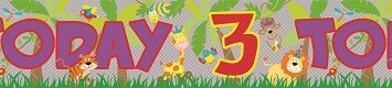 9ft Banner 3rd Birthday