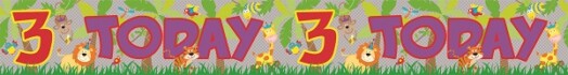 9ft Banner 3rd Birthday