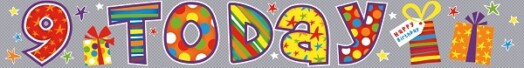 9ft Banner 9th Birthday